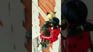 Miraculous: Ladybug and Catnoir 💞 #miraculous #shorts