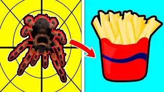 COSAS QUE NO SABIAS HACE 3 MINUTOS
