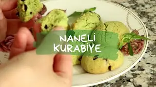 TAZE NANE İLE KURABİYE OLUR MU? EVET OLUR HEMDE ÇOK LEZZETLİİİ | NANELİ KURABİYE | MINT COOKIES