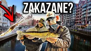 ZAKAZANA METODA [Magnes Na Ryby]