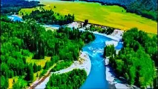 Помогающие нам знаки от Вселенной🌐Не игнорируйте их⌚🌞🚻🕊