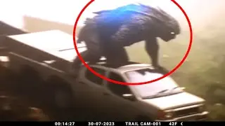 Most Horrifying Camping Experiences Caught on Camera