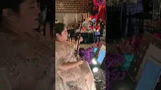 Waiting for your return - Guzheng & Erhu Instrumental (Cover by Luxe Voir Entertainment)