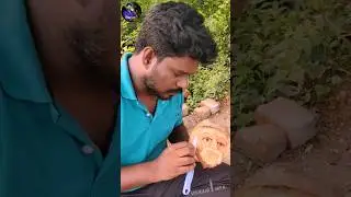 How to make a human face from coconut handicrafts | home decore