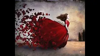Christian Schloe