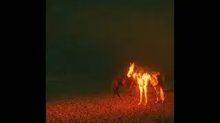 (FREE) TRAVIS SCOTT X DON TOLIVER TYPE BEAT - "STORMY NIGHT"