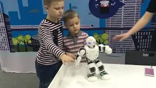 Робополис 2018