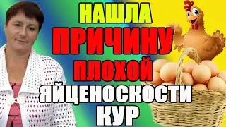 Нашла ПРИЧИНУ ПЛОХОЙ яйценоскости кур.