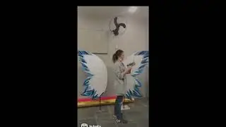 #shorts