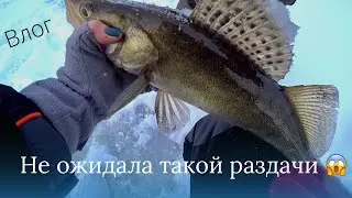 ВЛОГ | РЫБАЛКА НА КРУПНОГО СУДАКА | ДИМОООН