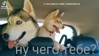 я еду на море