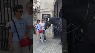 DON’T TOUCH THE HORSE