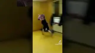 Sett promedio #fypシ゚viral #set #leagueoflegends #experimento #memes #fyp #parati