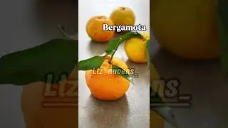 Cante se comeria #edit #nflopa #n #humor #aesthetic  #gostaram flopar