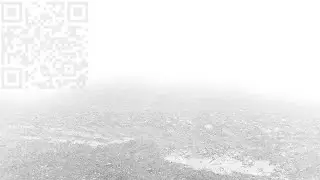 281536763