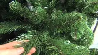 Triumph Tree Ель Классическая