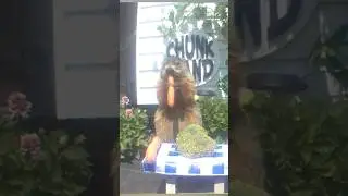 Season 6 is Back!!! The Chunk Out In The Heat