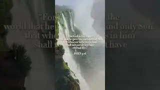 Bible Verse of the Week: John 3:16 #ellasmindfulness #2024 #bibleverse #shorts