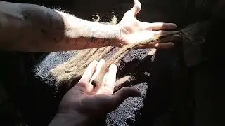 Восстановление срезанных дред