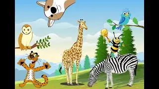 Daily Activity of Animals | HORSE | PIG | SHEEP | FISH | BIRD