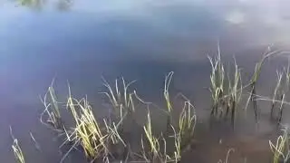 16 мая 2020 г.