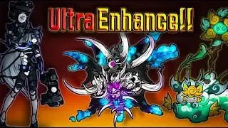 Which Cats Should You Ultra Form? [Part 1]