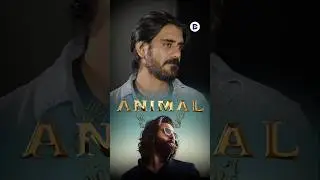My Lack of Interest in ANIMAL: Full Story! 😳 ft. Saurabh Sachdeva 
