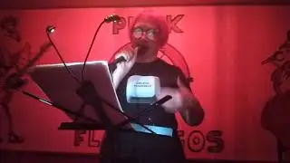 Наташа Романова PUNK FLAMINGOS