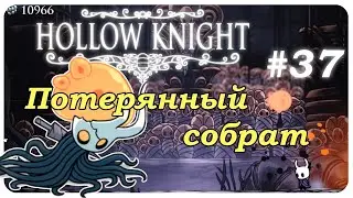 ◈ Возвращение в Божий Кров ◈ Hollow Knight прохождение с комментариями ◈ серия №37