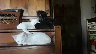 Opus 4 on piano
