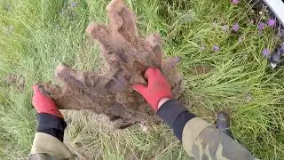 To survive in the province / Not a good life doing this