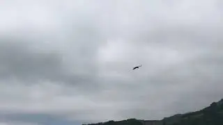 Сбор трав для бани на высоте 2,5 тысяч км. над уровнем моря. Грифы в горах южного Дагестана