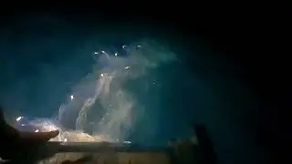 Mancing Sotong Dan Menjaring ikan di malam hari