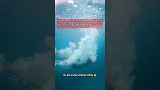 Her First Time in Deep Water 🏊🏻‍♀️ #swimming #swimmingtips #swim #deepwater
