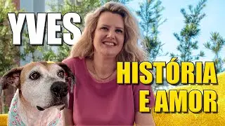 Uma história de amor chamada Yves