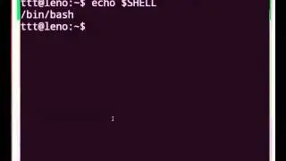 Introduction to BASH Shell Scripting - English