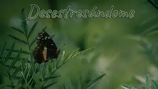 Desestresándome (Fotografiando la Naturaleza)