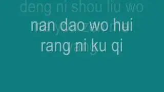 S.H.E 收留我 Shou Liu Wo [pin yin lyrics]