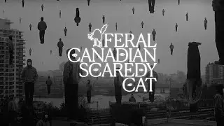 young friend - feral canadian scaredy cat (Official Music Video)