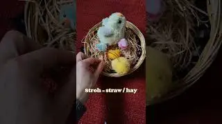 German Language Tips 🐣🐰 Easter Edition