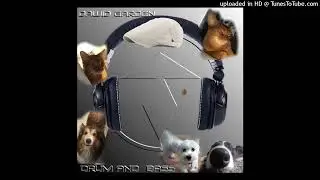 Dawid Garden - Animal