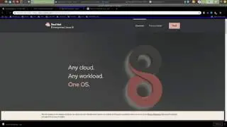 Redhat8 / CentOS 8