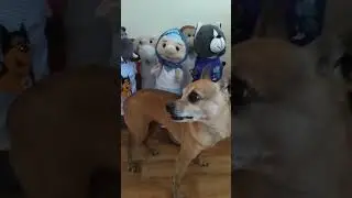 ЖДЁМ!