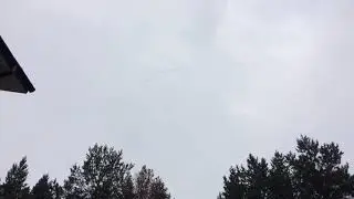 Птицы улетают