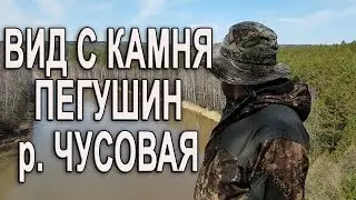 Вид с камня Пегушин, Чусовая