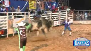 Cia de Rodeio Dallas - Reginaldo Andrade VS Touro Mistério