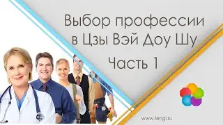 Выбор профессии в Цзы Вэй Доу Шу. Часть 1.