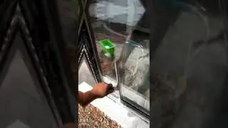 Friday Squeegee Pulls! 🔥