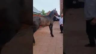 Савдо шуд✊