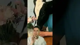 VACA O PASTEL? 😱😱😱